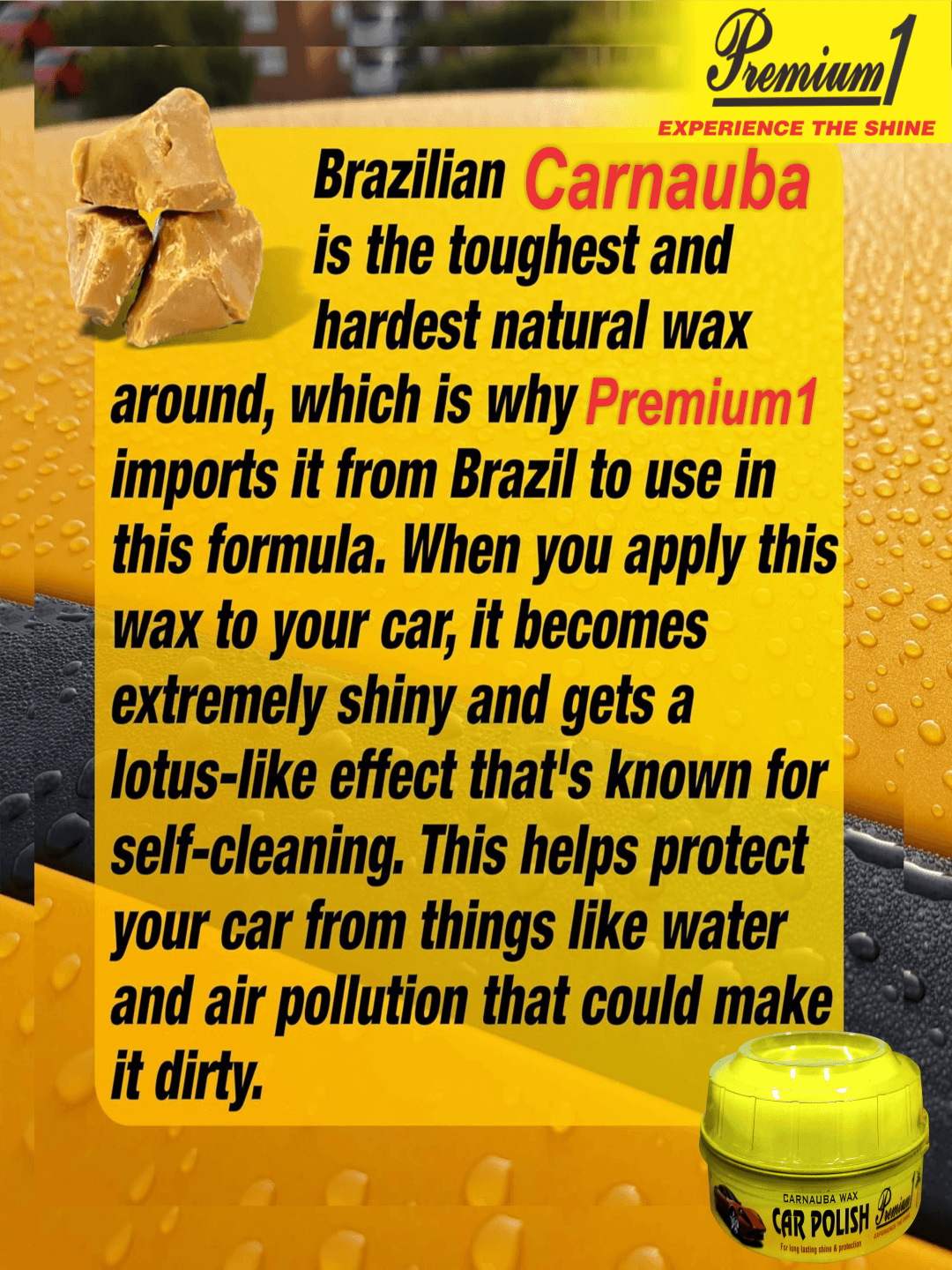 Carnauba Wax Car Polish 210gm 5