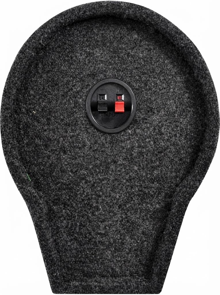 NIPPON 8"ACTIVE SUBWOOFER 2